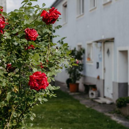 Ferienwohnung Morgensonne Schützen am Gebirge Extérieur photo